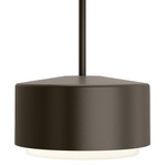 Roton Outdoor Pendant Light - Bronze