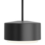 Roton Outdoor Pendant Light - Black