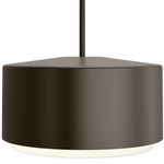 Roton Outdoor Pendant Light - Bronze