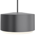 Roton Outdoor Pendant Light - Charcoal