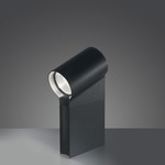 Oblique Outdoor Path Light - Anthracite Grey