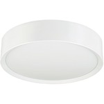 Puck Ceiling Light - White / Frost