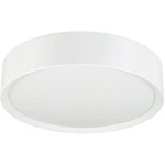 Puck Ceiling Light - White / Frost