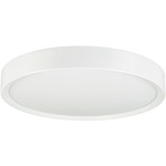 Puck Ceiling Light - White / Frost