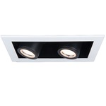 Silo Multiples Adjustable Spot Trim and Housing - White / Black Reflector