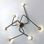 Constellation Wall LightConstellation Wall / Ceiling Light - Satin Graphite / Satin Brass