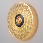 Earth Turtle Wall / Ceiling Light - Satin Graphite / Satin Brass