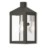 Nyack Outdoor Wall Light - Black / Clear