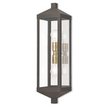 Nyack Outdoor Tall Wall Light - Bronze / Clear