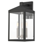 Nyack Outdoor Wall Light - Black / Clear