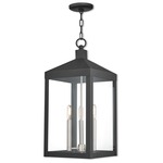 Nyack Outdoor Pendant - Black / Clear