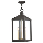 Nyack Outdoor Pendant - Bronze / Clear