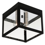 Nyack Outdoor Ceiling Light Fixture - Black / Clear