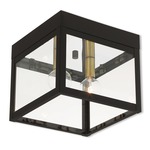 Nyack Outdoor Ceiling Light Fixture - Bronze / Clear
