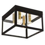 Nyack Outdoor Ceiling Light Fixture - Black / Clear