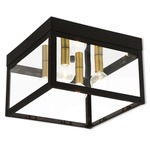 Nyack Outdoor Ceiling Light Fixture - Bronze / Clear