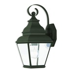 Exeter Outdoor Wall Light - Black / Clear