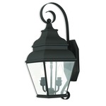 Exeter Outdoor Wall Light - Black / Clear