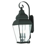 Exeter Outdoor Wall Light - Black / Clear