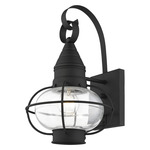 Newburyport Outdoor Wall Sconce - Black / Clear