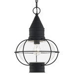 Newburyport Outdoor Pendant - Black / Clear