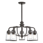 Lawrenceville Down Chandelier - Bronze / Clear Seeded