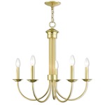 Estate 5 Light Chandelier - Polished Brass