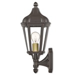 Morgan Outdoor Wall Light - Bronze / Clear