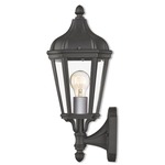 Morgan Outdoor Wall Light - Black / Clear