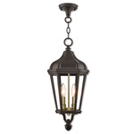 Morgan Outdoor Pendant - Bronze / Clear