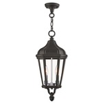 Morgan Outdoor Pendant - Black / Clear