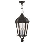 Morgan Outdoor Pendant - Black / Clear