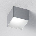 Darma Ceiling Light Fixture - Brushed Aluminum / White