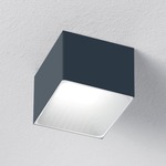Darma Ceiling Light Fixture - Titanium / White