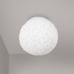 Emisfero Wall / Ceiling Light - Matte White / White