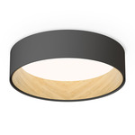 Duo Ceiling Light Fixture - Matte Graphite