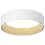 Duo Ceiling Light Fixture - Matte White