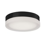 Bedford Ceiling Light Fixture - Black / Frosted