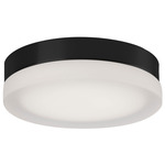 Bedford Ceiling Light Fixture - Black / Frosted