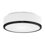 Charlie LED Ceiling Light Fixture - Black / White Opal