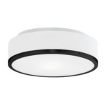 Charlie Color-Select Ceiling Light - Black / White Opal
