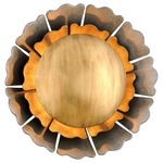 Magic Garden Wall Light - Bronze Leaf Black Graphite