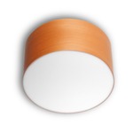 Gea Wall / Ceiling Light - Orange Wood