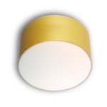 Gea Wall / Ceiling Light - Yellow Wood