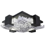 Terra Indoor / Outdoor Ceiling Light Fixture - Black / Clear