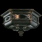 Warwickshire Outdoor Ceiling Light Fixture - Dark Wrought Iron / Clear