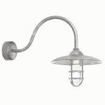 Retro Industrial Dome Outdoor Wall Light - Galvanized / Clear