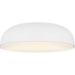 Kosa Ceiling Light Fixture - Matte White / Frosted