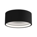 Trenton Outdoor Ceiling Light Fixture - Black / Opal
