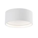 Trenton Outdoor Ceiling Light Fixture - White / Opal